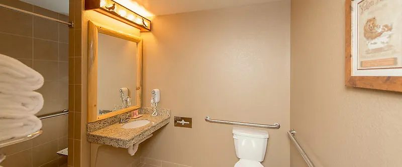 Great Wolf Lodge Southern California Garden Grove 3*,